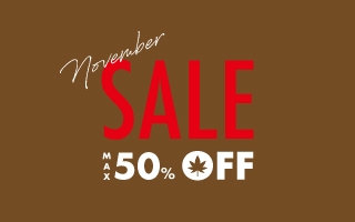 11月のベストバイコーナー